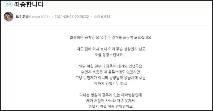 인사이트