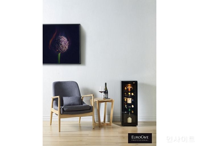 와인셀러→화장품∙가구, 입소문 타고 인기 얻은 숨은 명품 ‘인기’