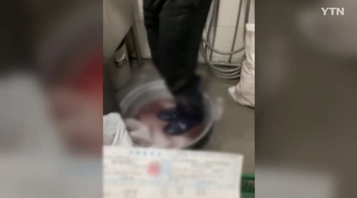 청소할 때 신던 장화 신고 ‘족발’ 밟으며 핏물 빼는 경기도의 한 유명 족발집 (영상)