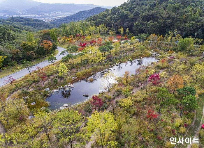 에버랜드, 포레스트 캠프 ‘숲캉스’ 프로그램 운영