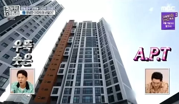 인사이트