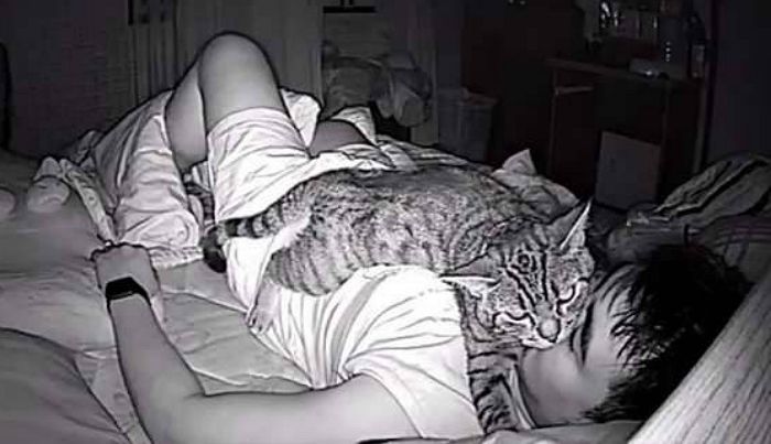 밤새 숨막혀 질식할 뻔한(?) 집사가 밤새 카메라 달았다가 알게 된 진실