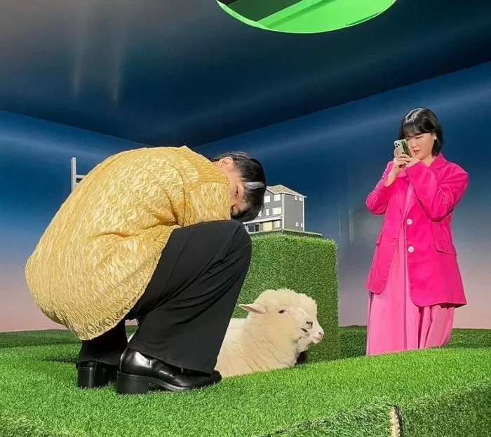 인사이트