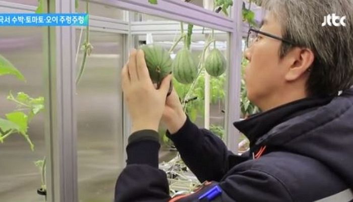 한국서 먹던 채소, 직접 재배해 먹는 ‘영하 25도’ 남극 세종과학기지 대원들