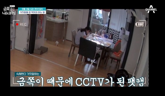 어린 딸 공부하는지 감시하려 집에 CCTV 설치해놓고 실시간 지켜보는 엄마 (영상)