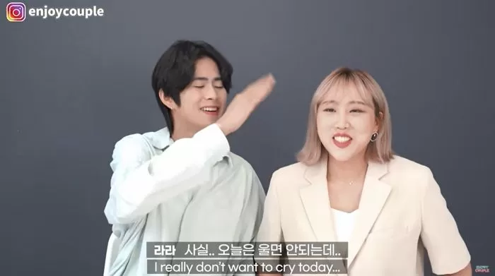 인사이트