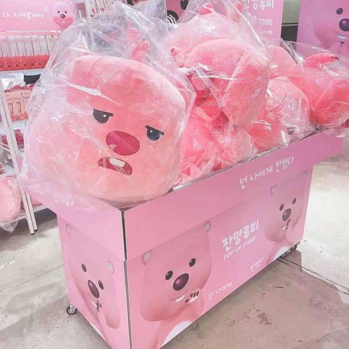 인사이트
