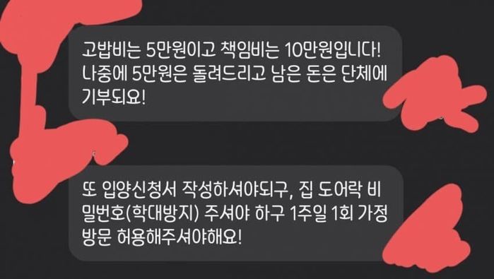 길냥이 입양 조건으로 ‘가정 방문’ 할테니 도어락 비번 알려달라는 캣맘