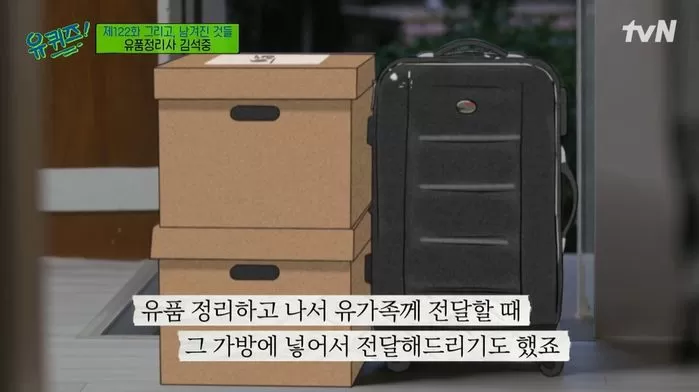인사이트