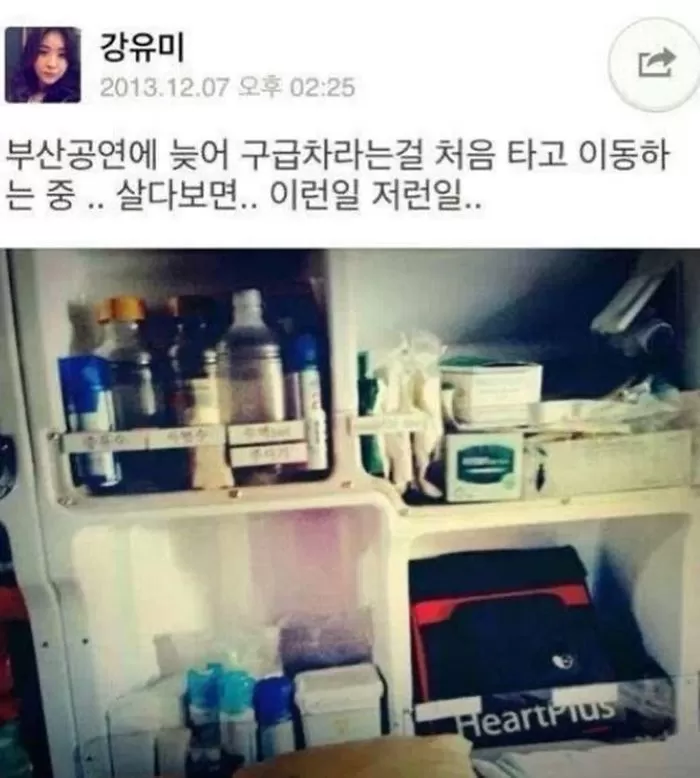 인사이트