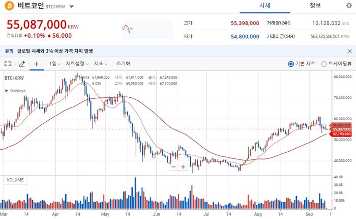 수익률 6,900%의 투자자가 공개한 초보도 ‘코인 단타’로 수익 내는 방법