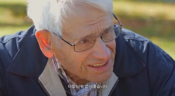 인사이트