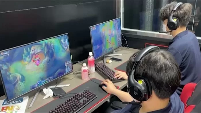 인사이트