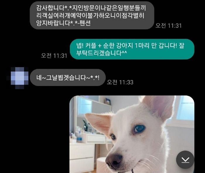 입금 후 8kg 강아지 이용 못한다고 해서 5분 만에 환불 요청했는데 40%만 돌려준 애견펜션