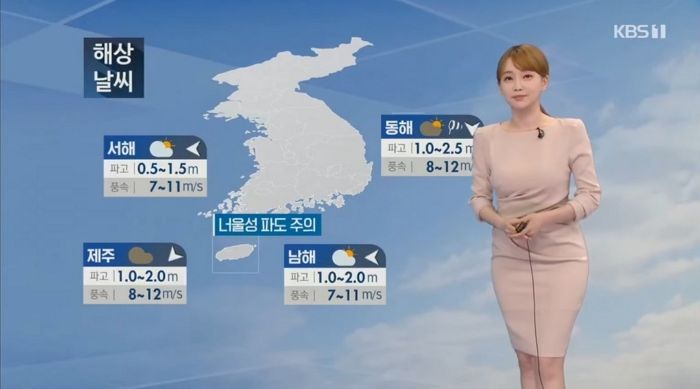 ‘취집’하려 아나운서 됐냐는 악플러에게 스스로 돈 모아 집샀다며 일침 날린 강아랑