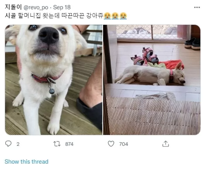 인사이트