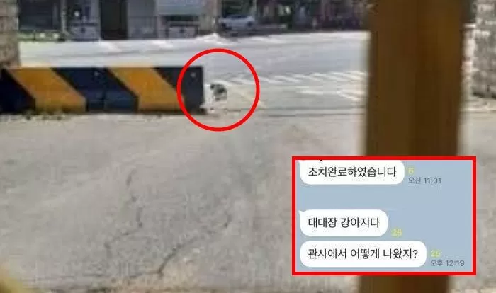 인사이트