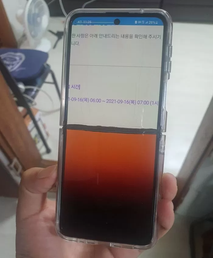 인사이트