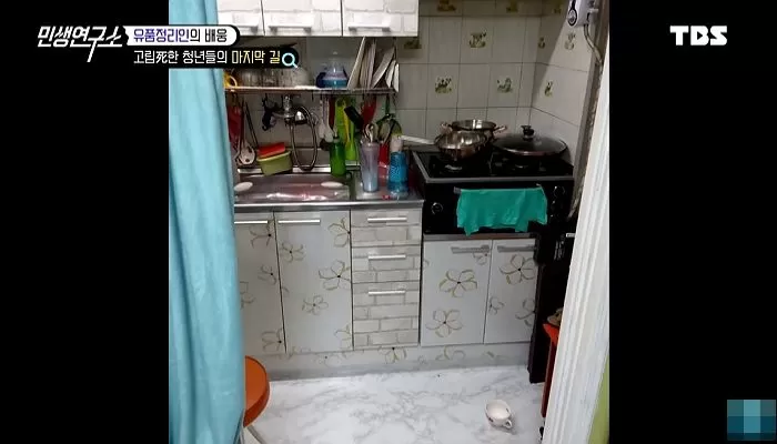 인사이트