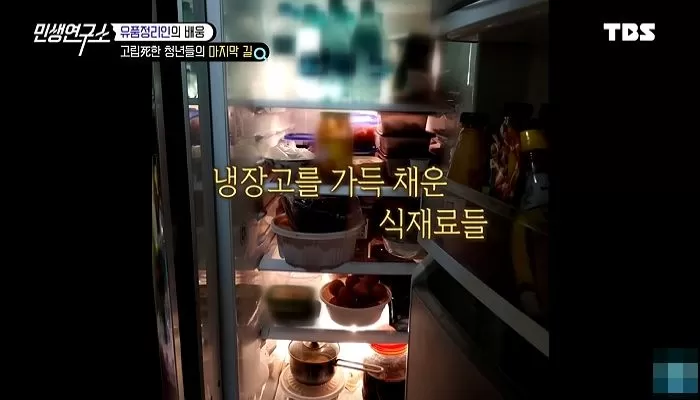 인사이트