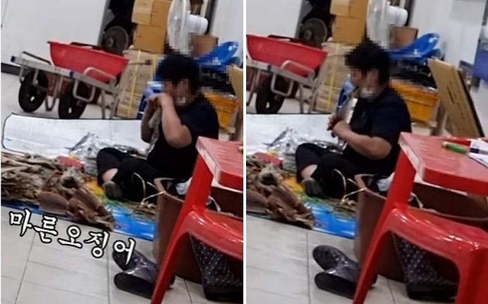 마른 오징어 ‘입’으로 물어뜯으며 손질하는 국내 회센터 직원 모습 (영상)
