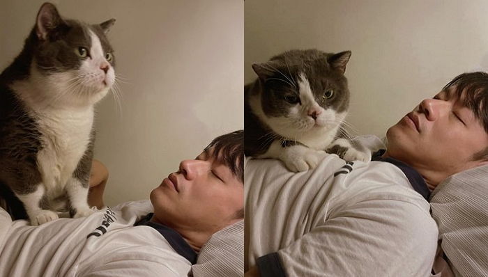 6kg ‘뚱냥이’ 키우던 집사가 매일 가위에 눌렸던 이유