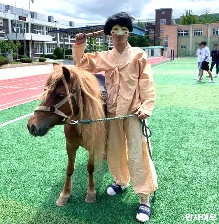 인사이트