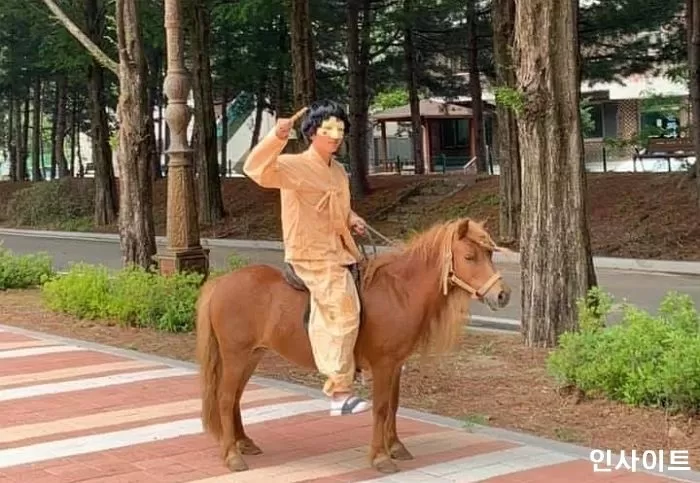 인사이트