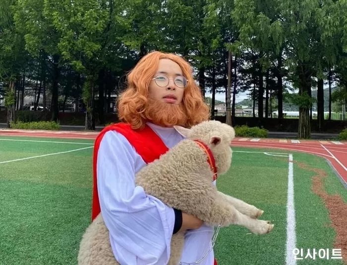 인사이트