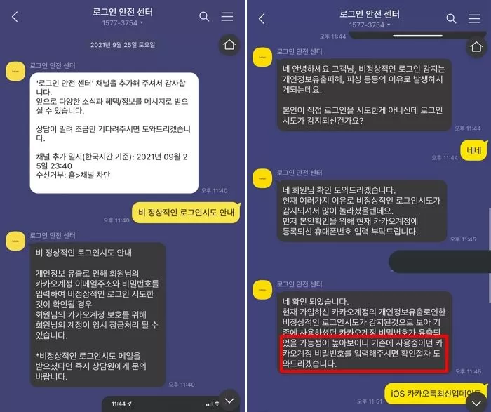인사이트