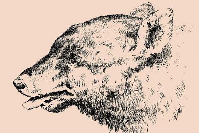 ‘눈썰미’ 상위 1%는 보자마자 찾는다는 ‘곰 초상화’에 숨겨진 그림