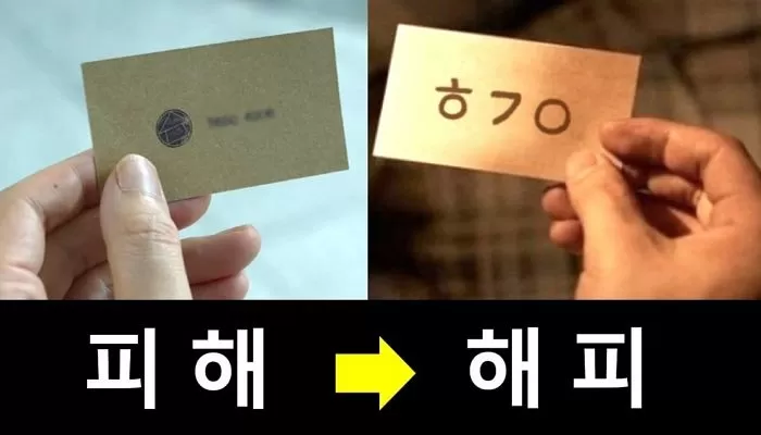 인사이트