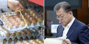 매일계란 이미지