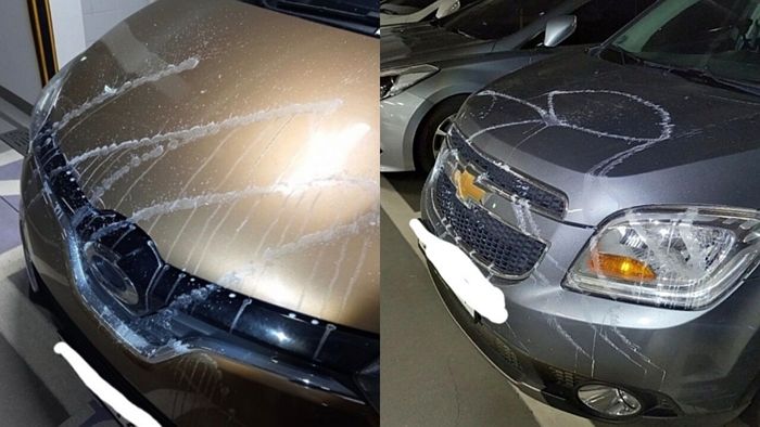 “자동차에 소변·치약 테러한 여성의 아들입니다”...부산 아파트 주차장에 붙은 사과문