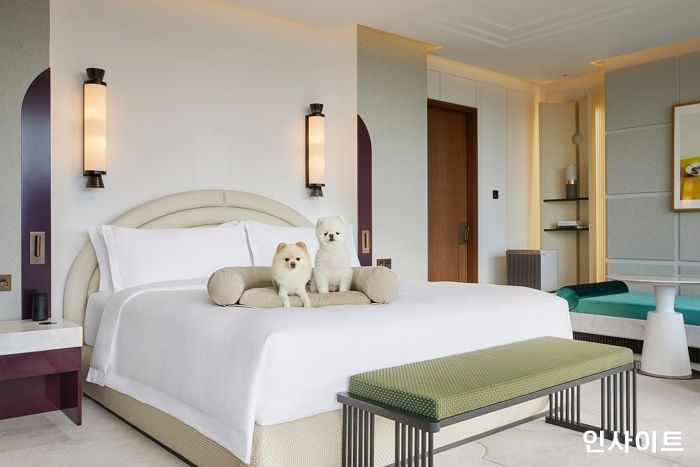 조선 팰리스, ‘나이트 아웃 위드 마이 펫’ 시즌2 패키지 출시