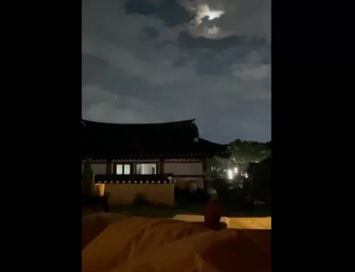 인사이트