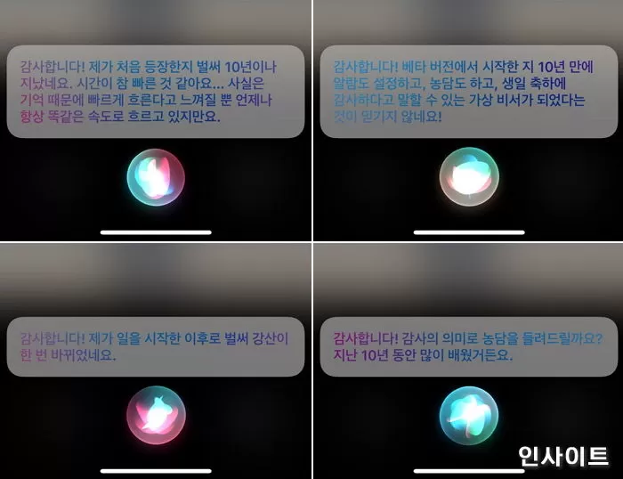 인사이트