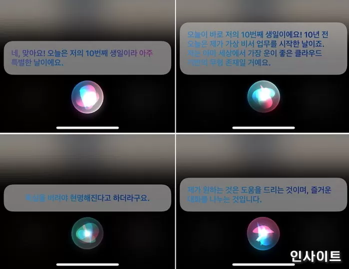 인사이트
