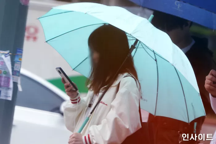 인사이트