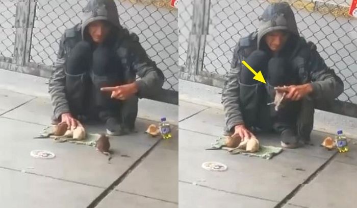 자기 돌봐주는 노숙자 돈 많이 벌게 해주려 묘기 부려주는 생쥐 (영상)