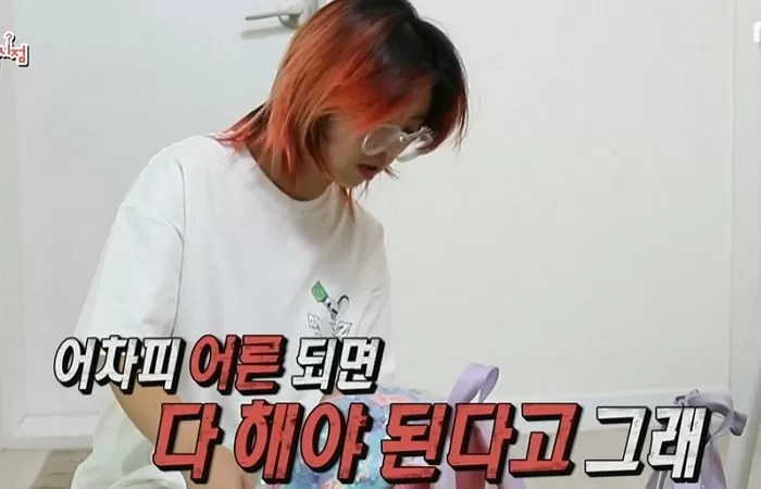 인사이트