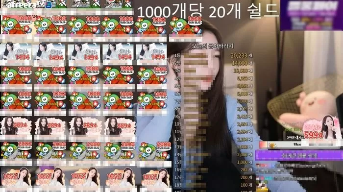 인사이트