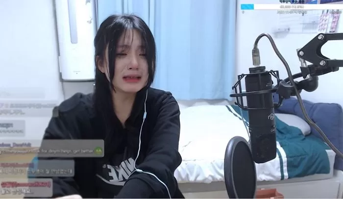 인사이트
