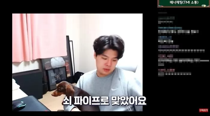 인사이트