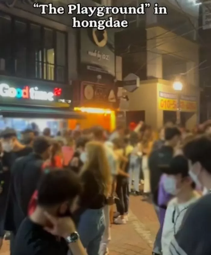인사이트