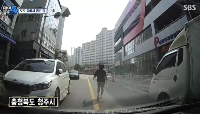 인사이트