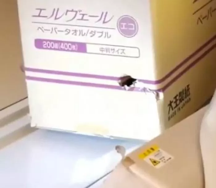인사이트