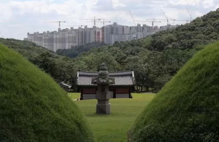 왕릉 가린 아파트 철거 대신 ‘나무’ 심어 가리자는 제안에 문화재청 “검토하겠다”