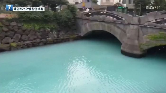 오염수에 뒤덮여 탁한 물빛으로 변한 제주 동문시장 하천 (영상)