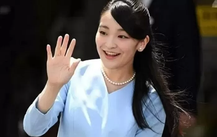법률사무소인사이트 이미지